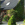 Ferienhaus am Priestersee