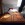 Pension Forsthof Kneese; Schaalsee