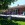 Ferienhaus Schaalsee barrierefrei